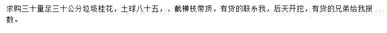 求購30量30公分桂花