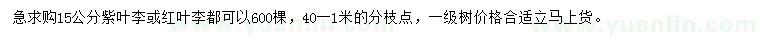 求購15公分紫葉李、紅葉李