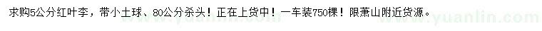 求購(gòu)5公分紅葉李