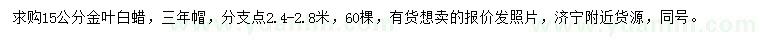 求購15公分金葉白蠟
