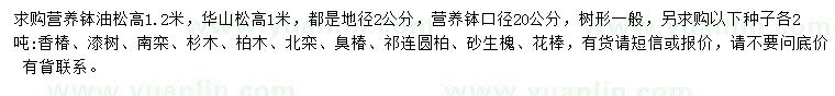 求購油松、華山松、香椿種子等