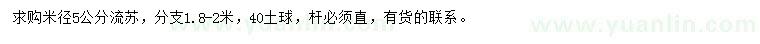 求購米徑5公分流蘇