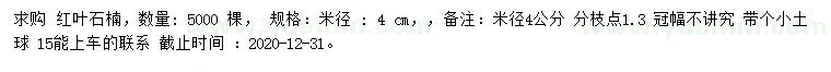 求購米徑4公分紅葉石楠