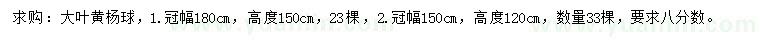 求購冠幅150、180公分大葉黃楊球