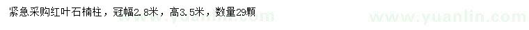 求購高3.5米紅葉石楠柱