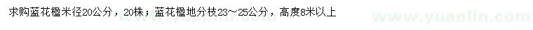 求購米徑20、23-25公分藍(lán)花楹