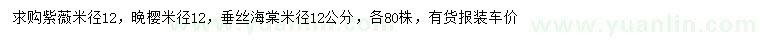 求購(gòu)紫薇、晚櫻、垂絲海棠