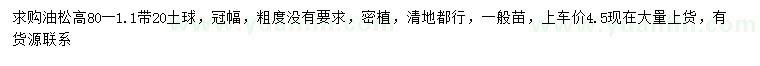 求購高0.8-1.1米油松