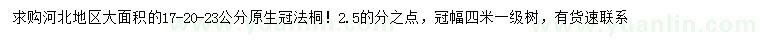 求購(gòu)17-20-23公分法桐