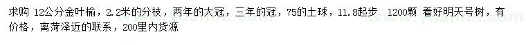 求購11.8公分以上金葉榆