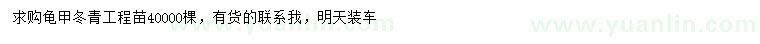 求購龜甲冬青