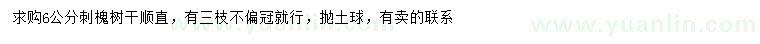 求購6公分刺槐