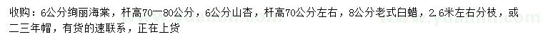 求購(gòu)絢麗海棠、山杏、老式白蠟