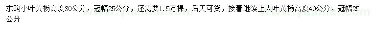 求購(gòu)高30公分小葉黃楊、高40公分大葉黃楊