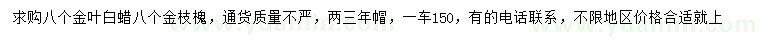 求購8公分金葉白蠟、金枝槐