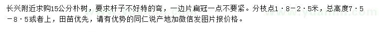 求購15公分樸樹