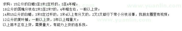 求購白蠟、國槐、復葉槭