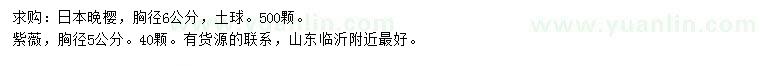 求購胸徑6公分日本晚櫻、胸徑5公分紫薇