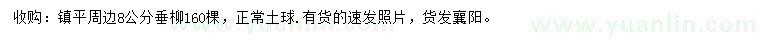 求購(gòu)8公分垂柳