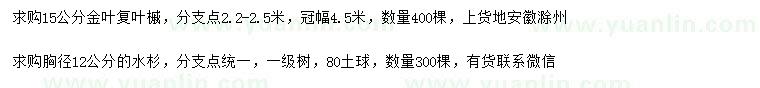 求購15公分金葉復(fù)葉槭、胸徑12公分水杉