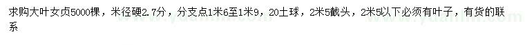 求購米徑2.7公分大葉女貞