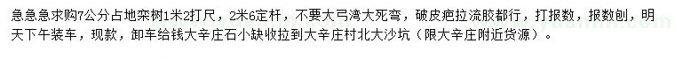 求購胸徑7公分欒樹