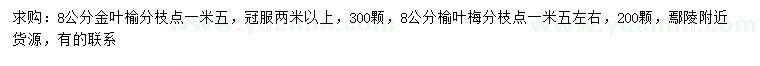 求購8公分金葉榆、榆葉梅