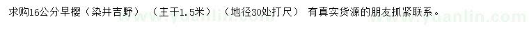 求購30量16公分早櫻