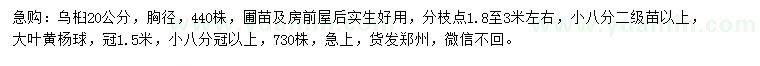 求購(gòu)胸徑20公分烏桕、冠1.5米大葉黃楊球