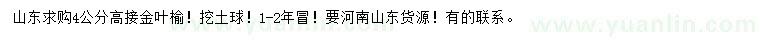 求購4公分金葉榆