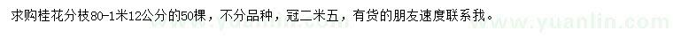 求購12公分桂花