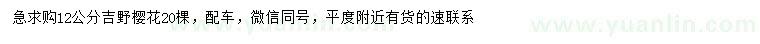 求購12公分吉野櫻
