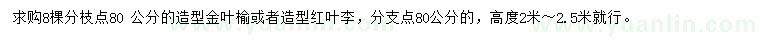 求購高2-2.5米造型金葉榆、造型紅葉李