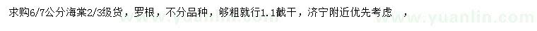 求購(gòu)6、7公分海棠