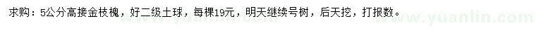 求購5公分金枝槐
