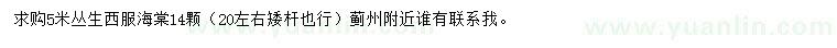 求購5米叢生西府海棠