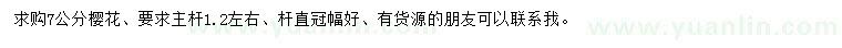 求購7公分櫻花