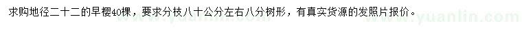 求購地徑22公分早櫻