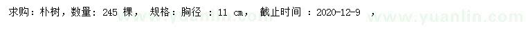 求購胸徑11公分樸樹
