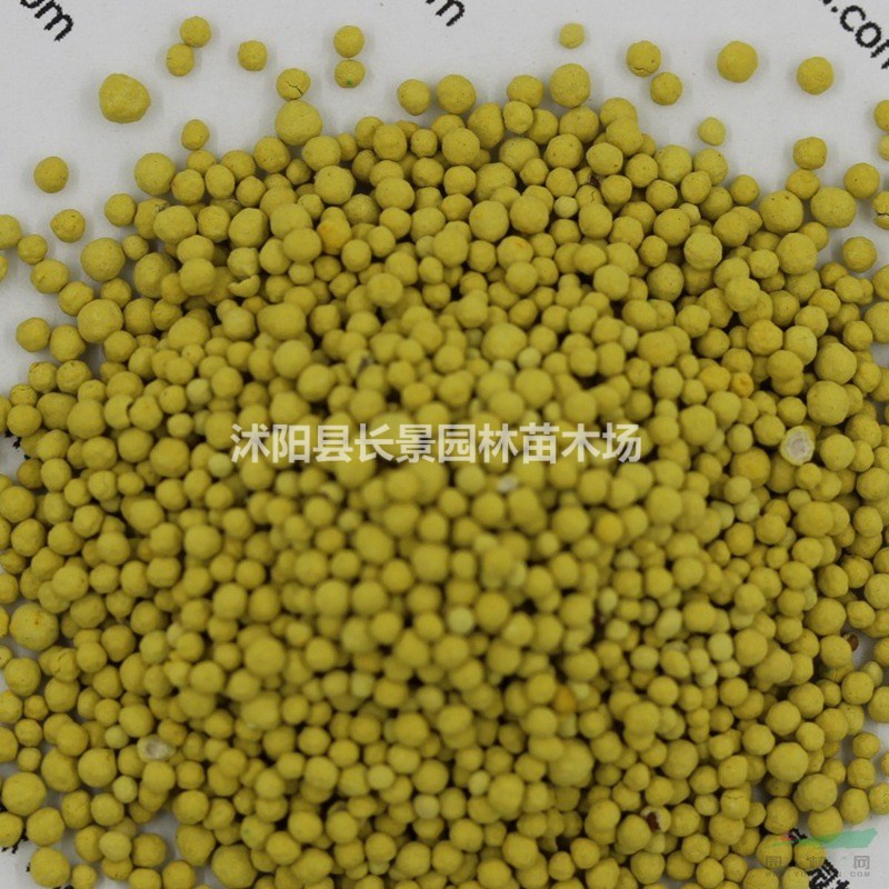 白三葉包衣種子多少錢(qián)一斤，白三葉包衣種子批發(fā)價(jià)格