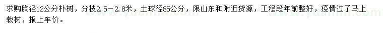 求購胸徑12公分樸樹