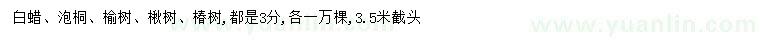 求購白蠟、泡桐、榆樹等