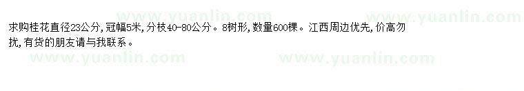 求購求購桂花直徑23公分