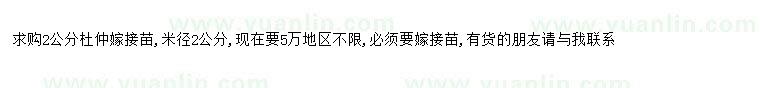 求購求購2公分杜仲嫁接苗
