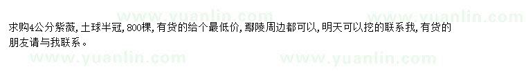 求購求購4公分紫薇