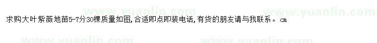 求購(gòu)求購(gòu)大葉紫薇地苗5-7分30棵質(zhì)量如圖