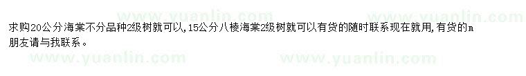 求購求購海棠、八棱海棠