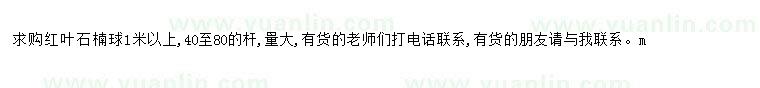 求購求購紅葉石楠球1米以上
