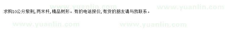 求購(gòu)求購(gòu)10公分紫荊