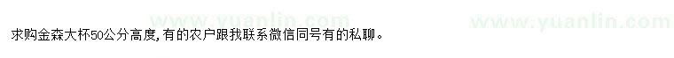 求購求購金森大杯50公分高